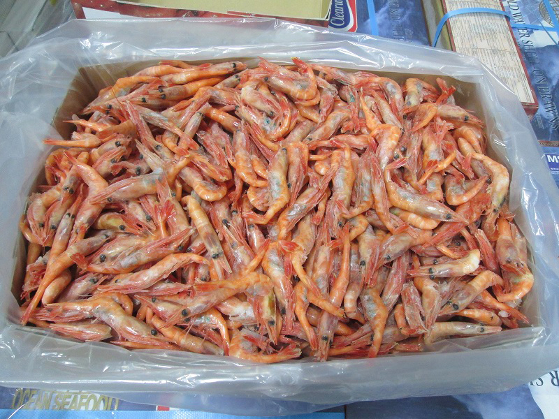 甘えび　(甘えび1kg、甘えびIQF、ボイル甘えび)